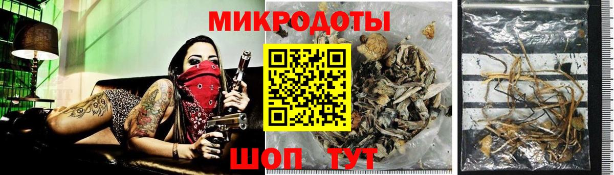 Псилоцибиновые грибы GOLDEN TEACHER Курчалой